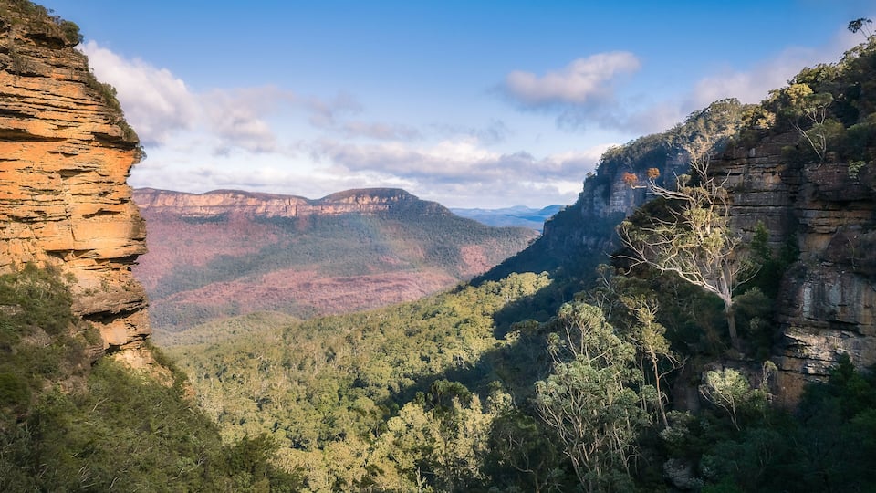 A canyon with layered rock formations and dense forest.