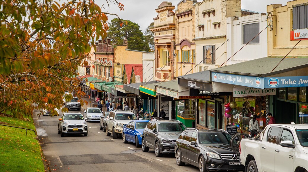 Leura showing a small town or village