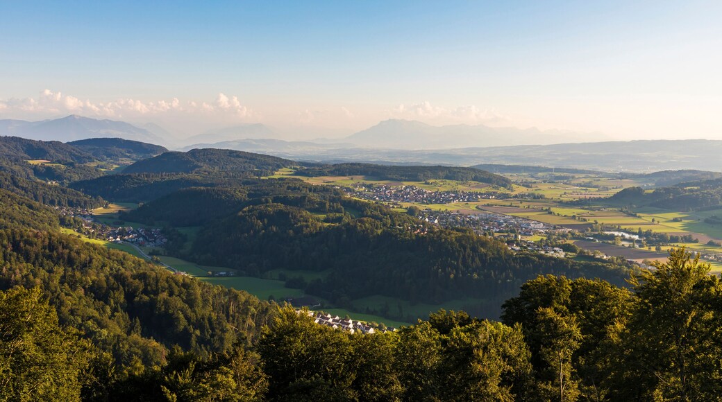 District d'Affoltern