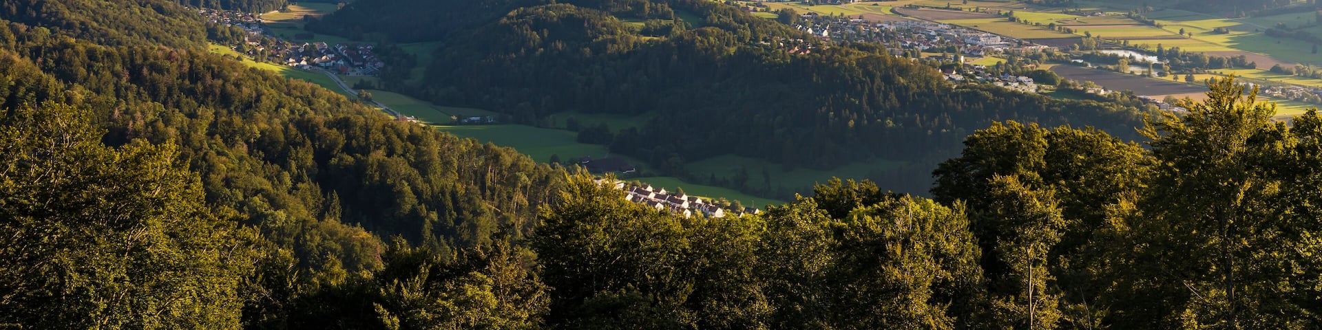 Switzerland, Canton of Zurich, Stallikon, Panorama of towns in forested valley of Affoltern District seen from summit of Uetliberg