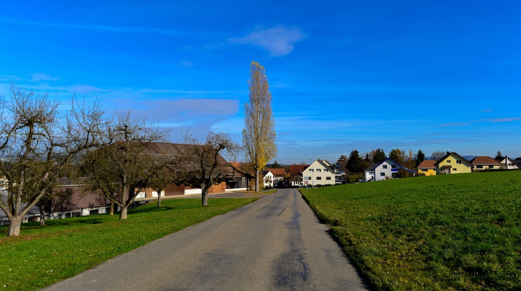 Wittenwil Gemeinde Aadorf im Bezirk Münchwilen - Kanton Thurgau / Schweiz