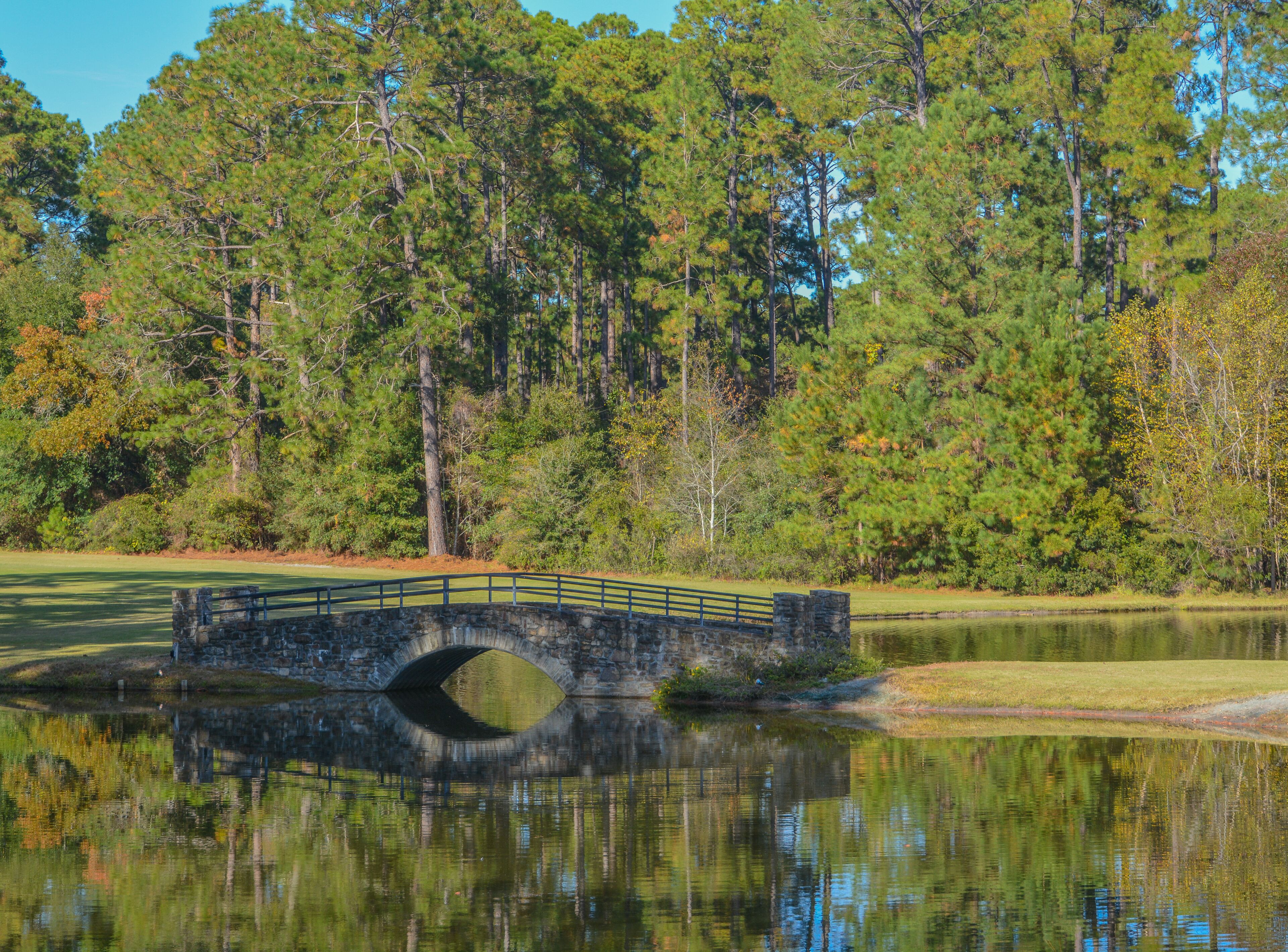 A walking bridge at Little Ocmulgee State Park in McRae, Georgia 