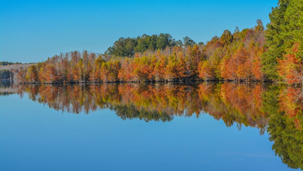 A calm lake reflecting autumn trees with green, yellow, and orange foliage.