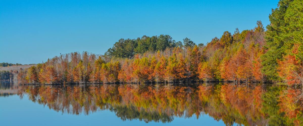 A calm lake reflecting autumn trees with green, yellow, and orange foliage.