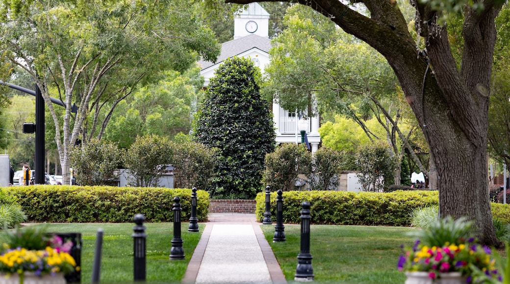 Pathway in Huntington Square Park in Downtown Summerville, South Carolina. Summerville is the birth place of sweet tea and has southern charm
