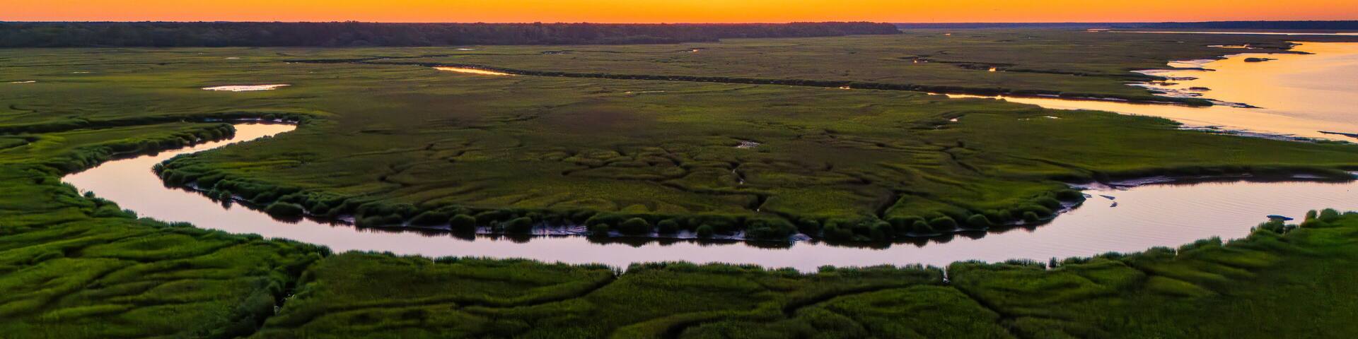 A marshland with a circular water body surrounded by dense vegetation.