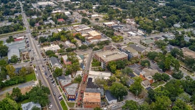 Aerial View of the Charleston Suburb of Summerville, South Carolina