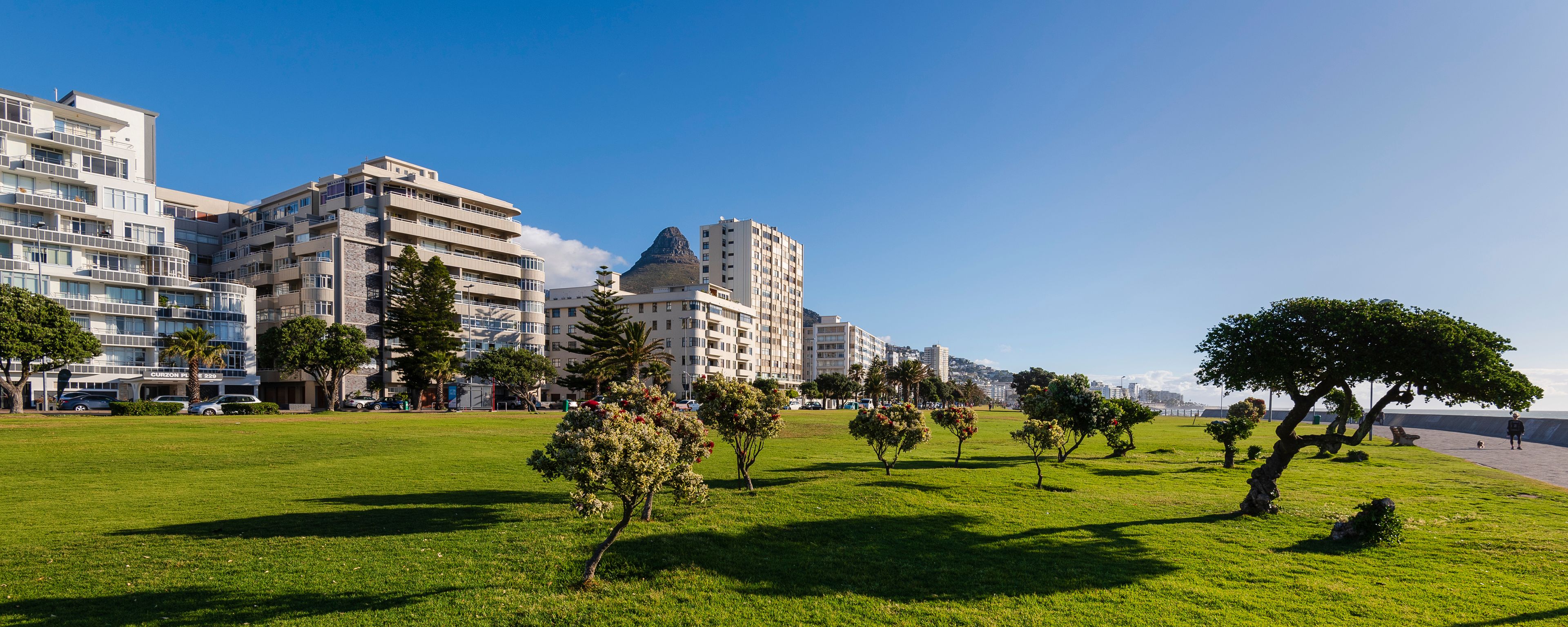 Un parque con césped verde, árboles y edificios modernos al fondo.