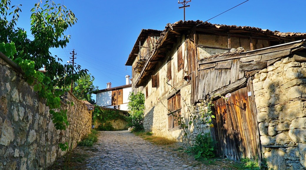 Una strada acciottolata fiancheggiata da edifici in pietra rustica con persiane di legno e un cielo azzurro intenso.