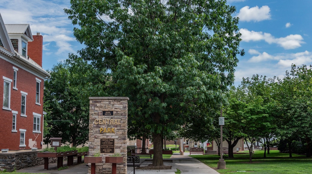 Central Park, Sunbury PA on a beautiful Summer Afternoon