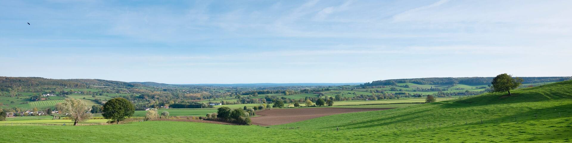 beautiful late afternoon sunlight on rural landscape of south limburg near Epen in the netherlands