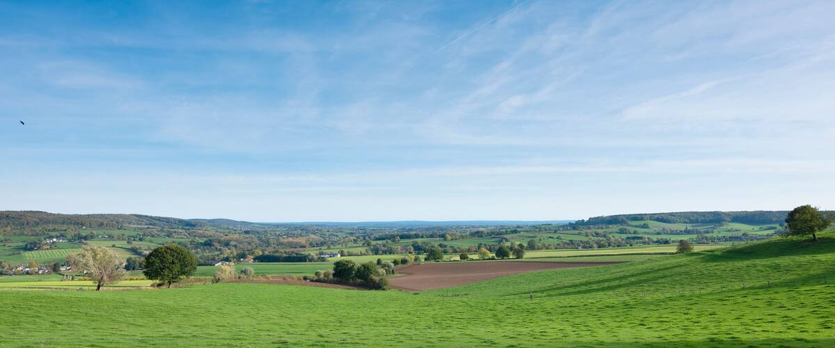 A green valley with rolling hills, scattered trees, and a clear blue sky.
