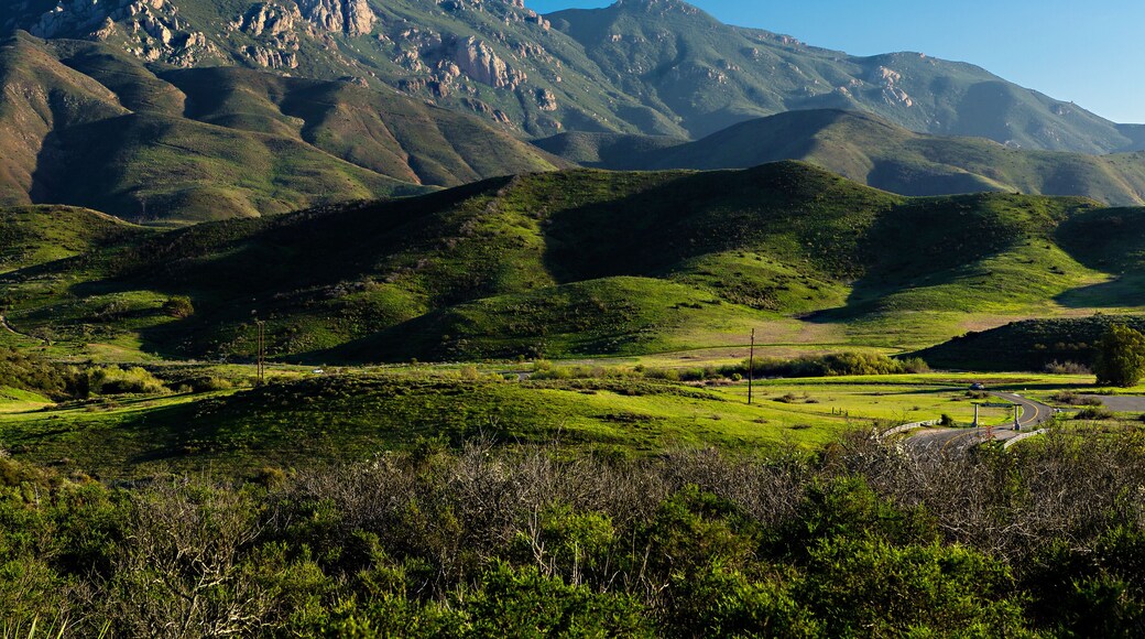 Boney Mountains, California