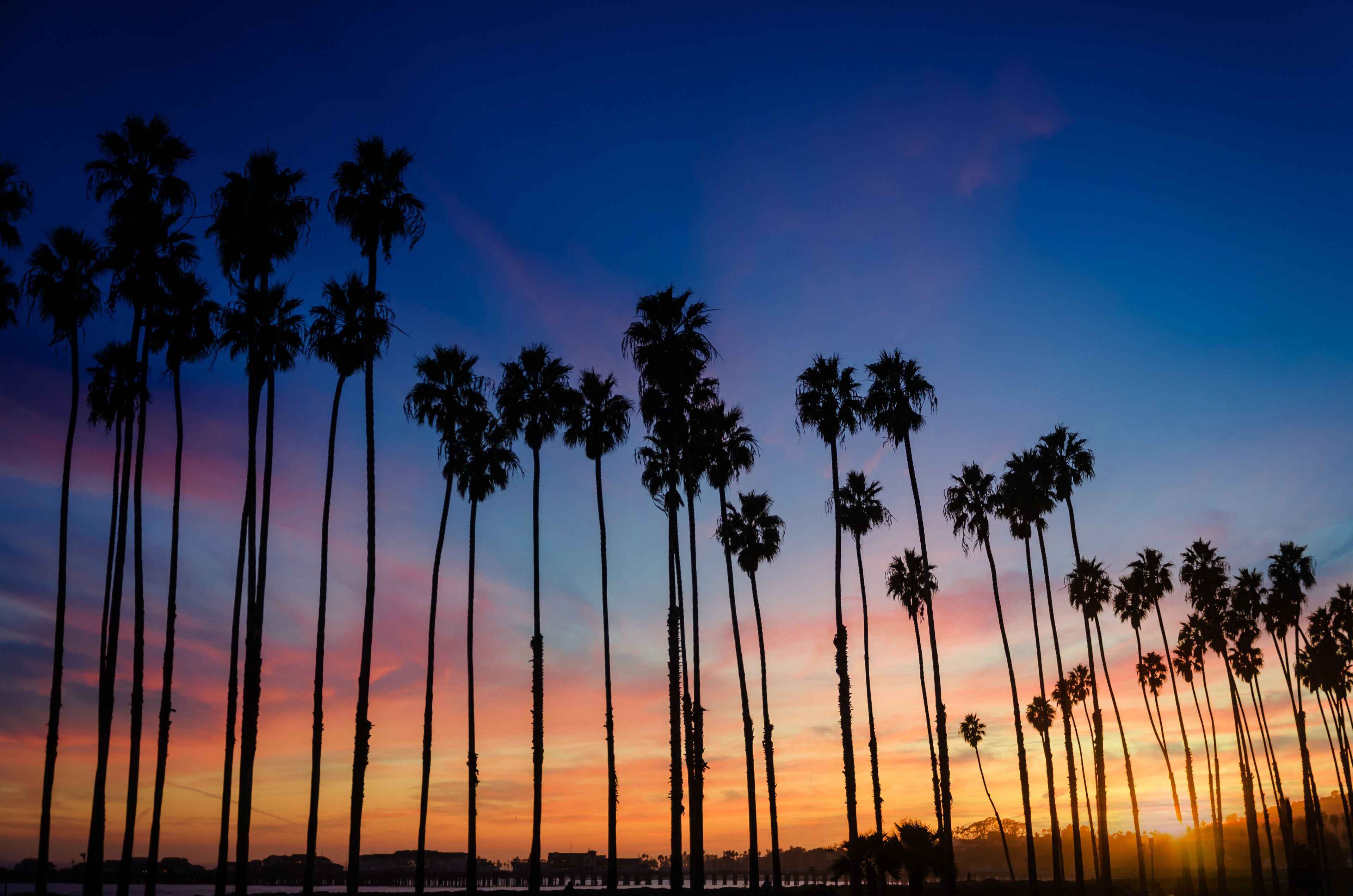 Tropical Beach sunset with Palm trees in Santa Barbara, California