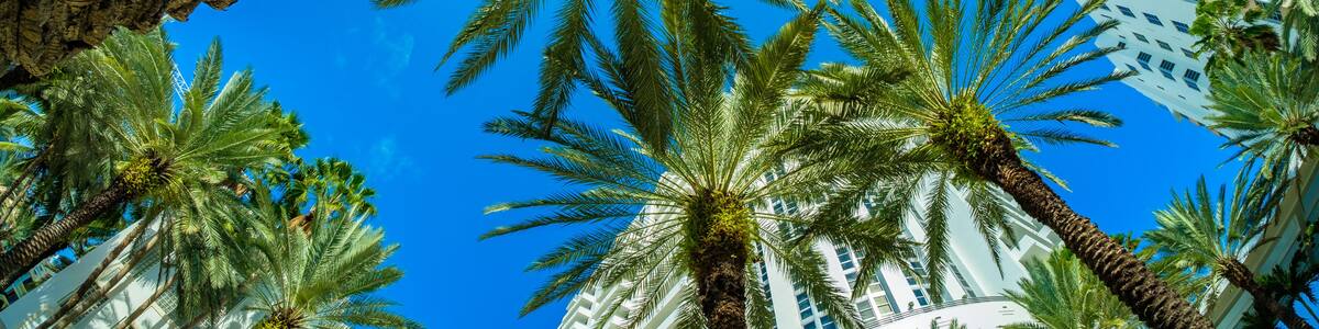 Beautiful Miami Beach