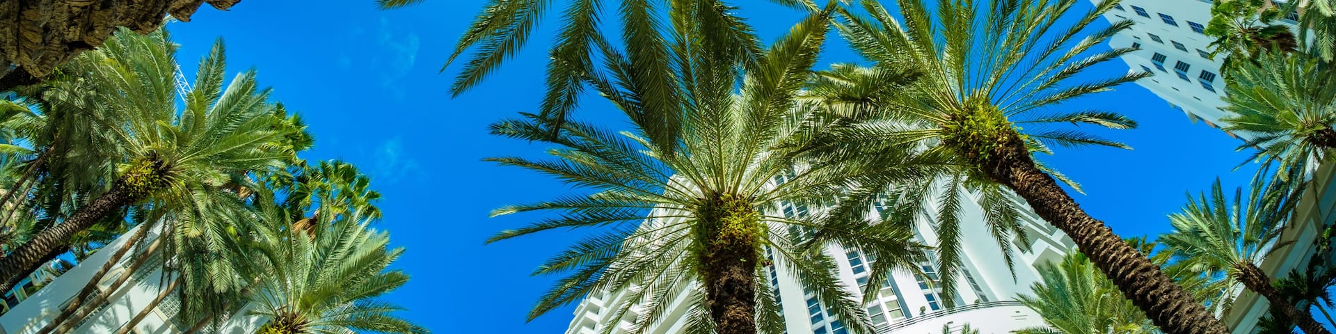 Beautiful Miami Beach