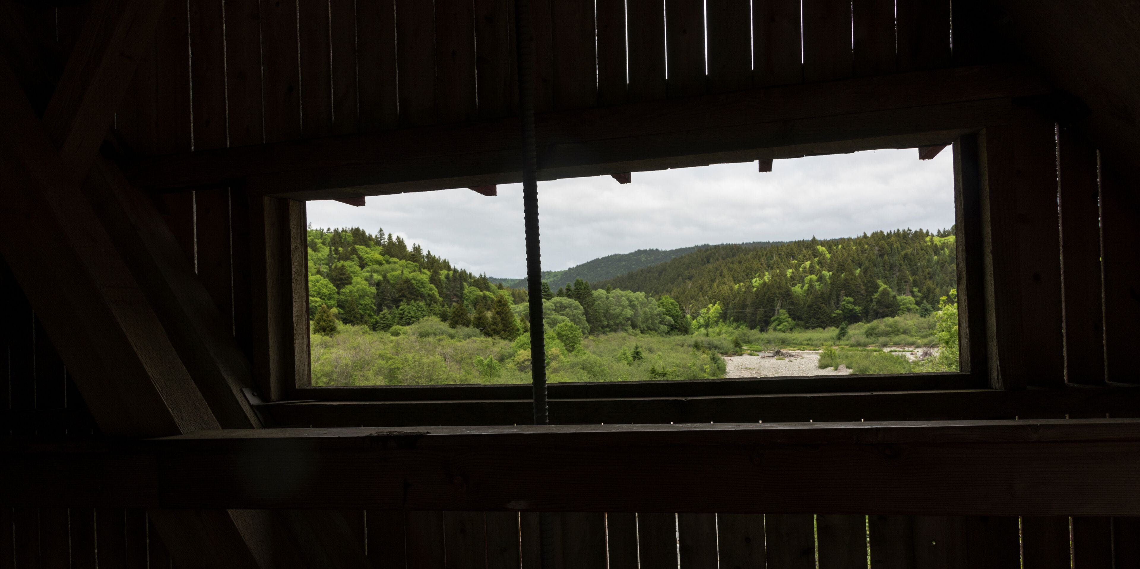 Window in a covered bridge looking out at the forest in Fundy National Park, New Brunswick Canada