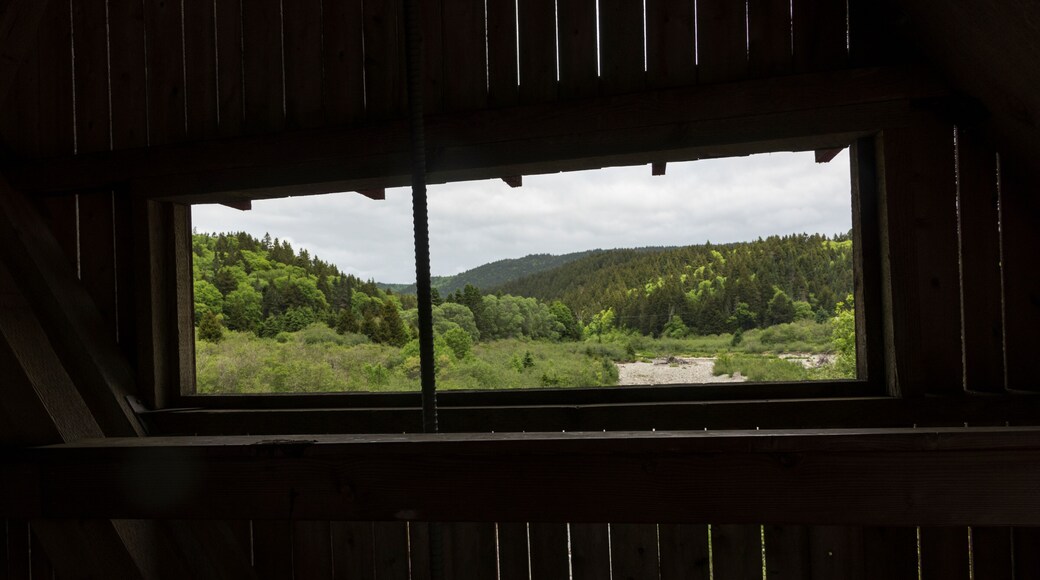 Window in a covered bridge looking out at the forest in Fundy National Park, New Brunswick Canada