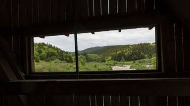 Window in a covered bridge looking out at the forest in Fundy National Park, New Brunswick Canada