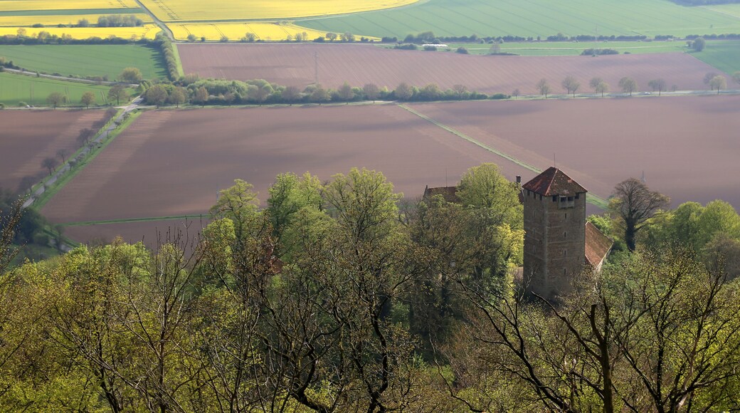 District de Schaumburg