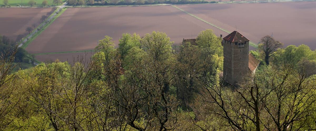 Burg Schaumburg über Hessisch Oldendorf im Weserbergland, Niedersachsen, Deutschland