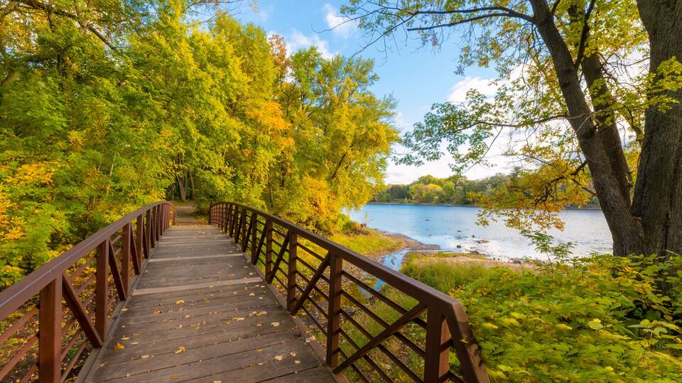 A wooden boardwalk with a metal railing, surrounded by lush green trees and a calm lake.