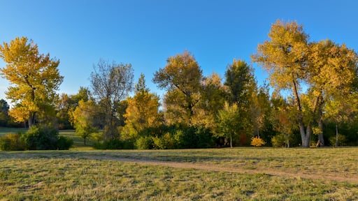 イングルウッド
