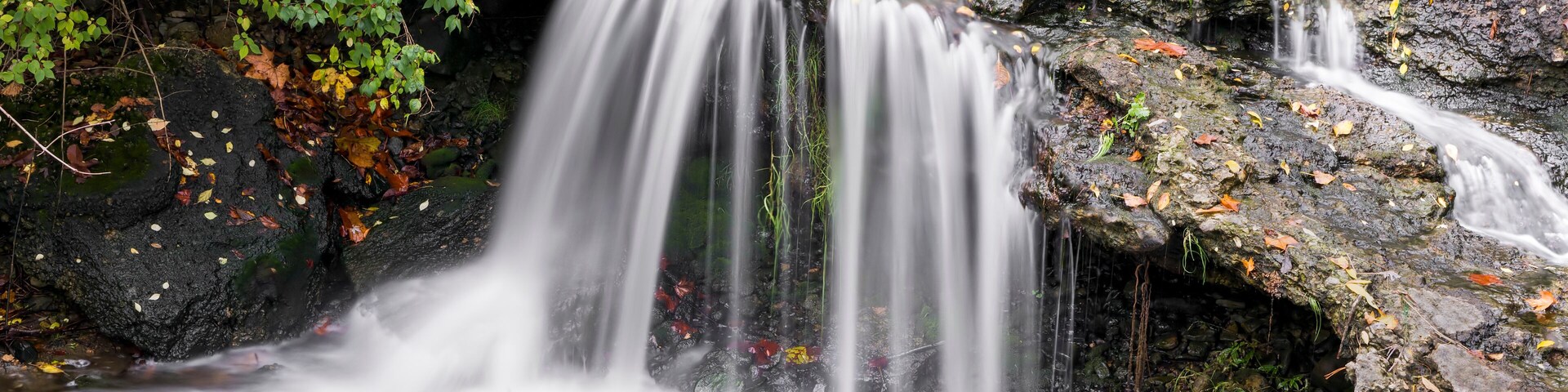 Una cascada fluye sobre rocas en un área boscosa con hojas otoñales.