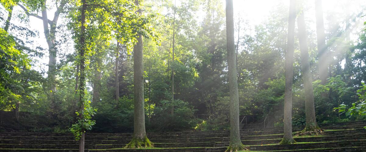 Sun beams shine through the trees at Scott Outdoor Amphitheater in Crum Woods at Swarthmore College, Pennsylvania, USA