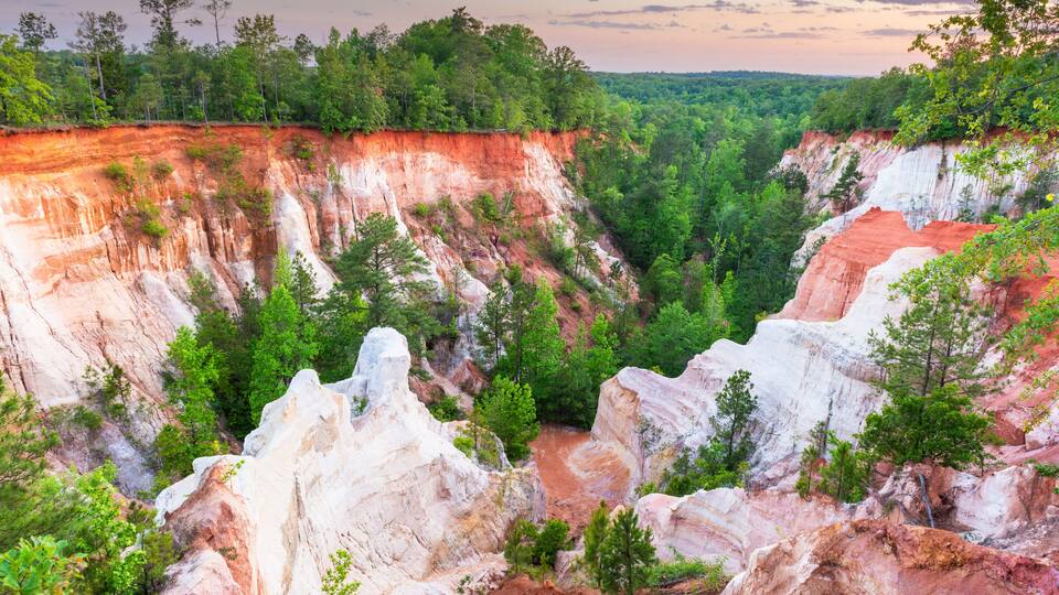 A canyon with red and white rock formations, surrounded by dense green forest.