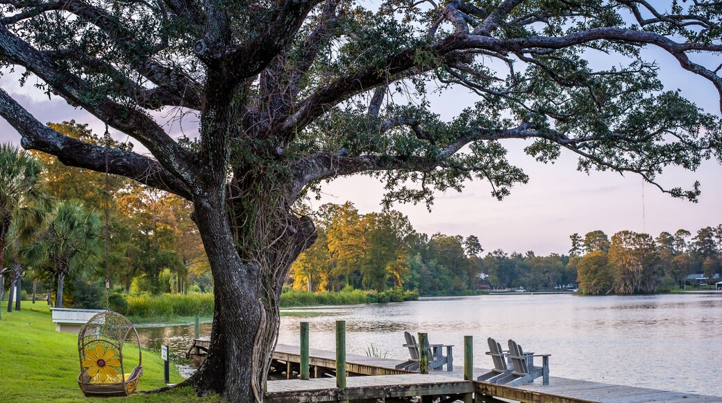 Swing and Tree by the Lake