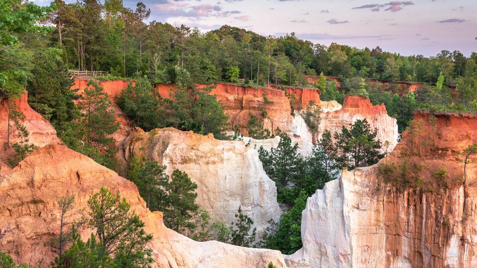 A canyon with red and white rock formations, surrounded by dense green trees.