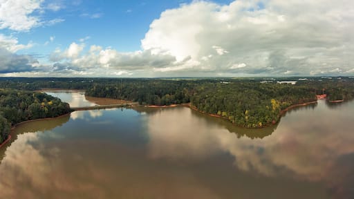 a breathtaking panoramic aerial shot of the still lake waters and vast miles of lush green and autumn colored trees with powerful cloud formations and blue sky at Sweetwater Creek State Park