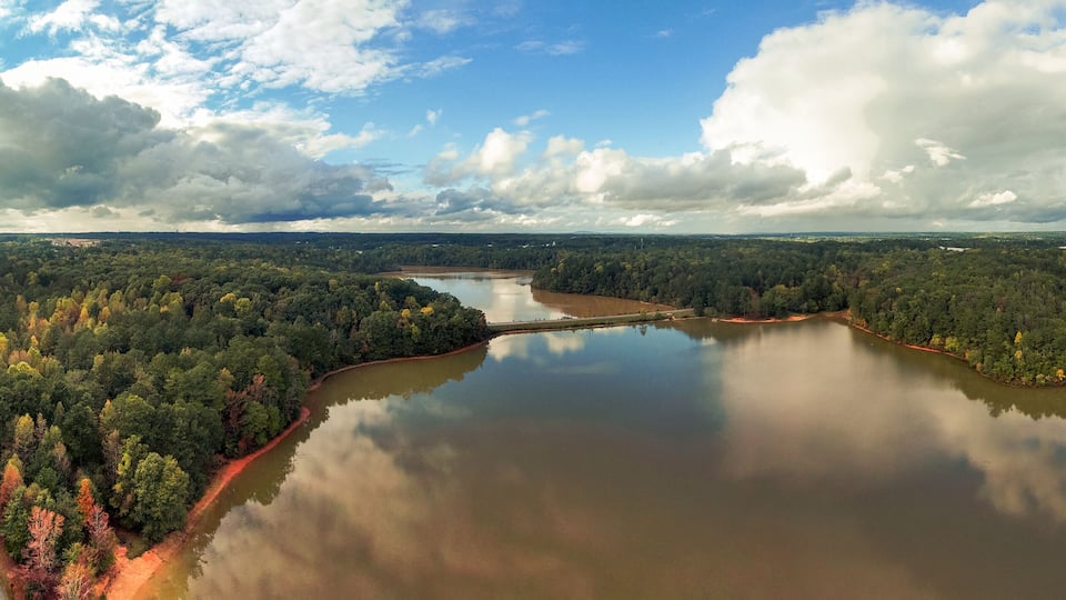 A river winding through a dense forest with a clear sky above.
