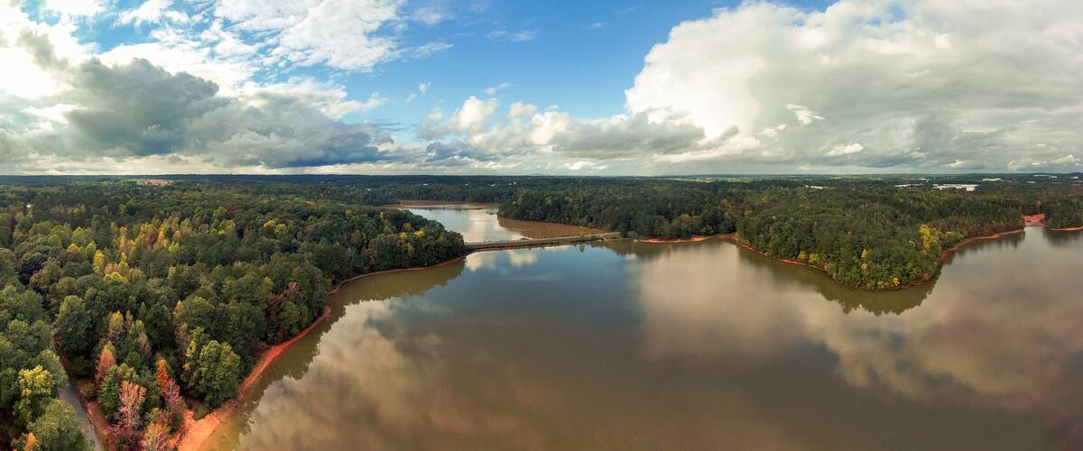 A river winding through a dense forest with a clear sky above.