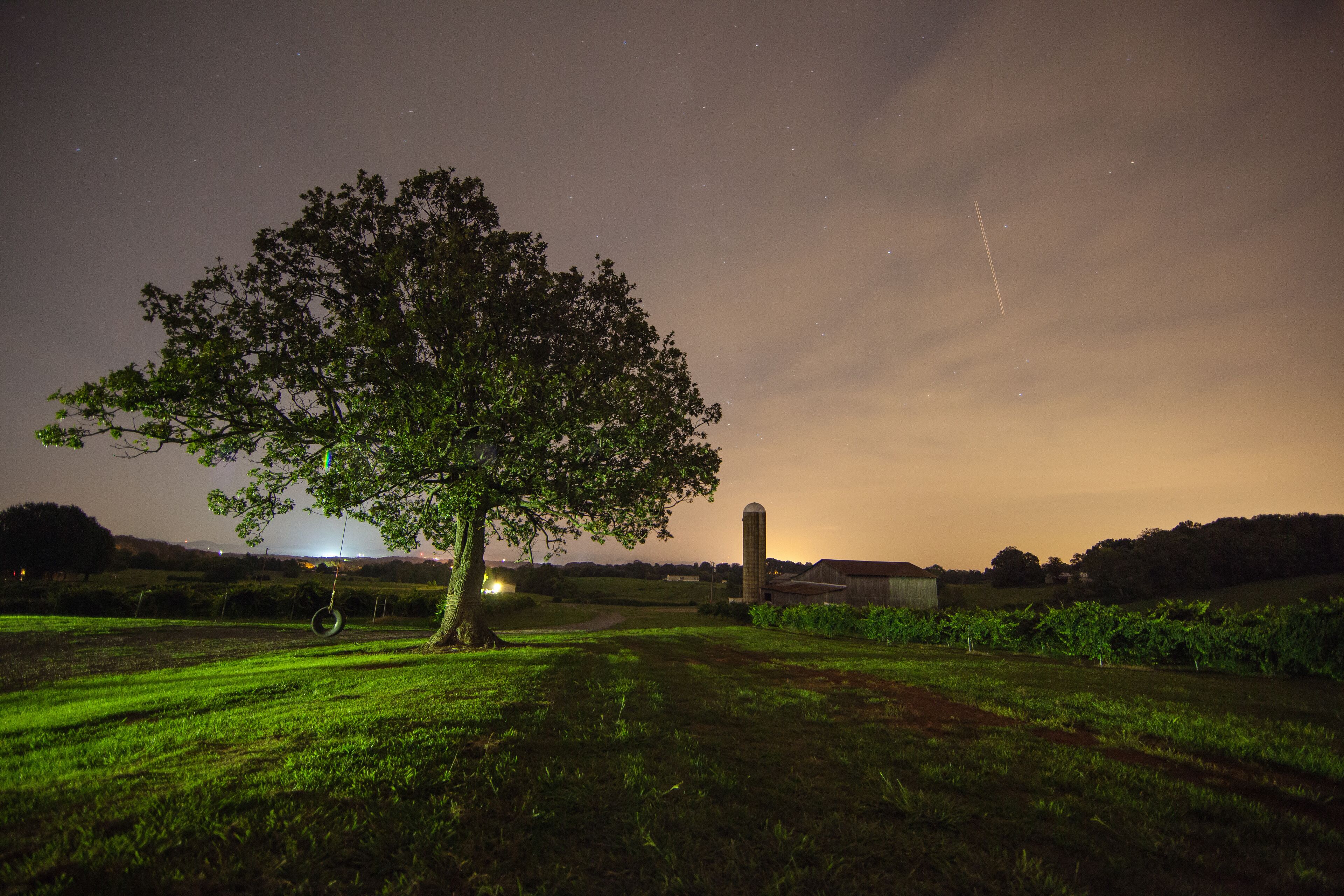 Vineyard Night Scene, Sweetwater TN