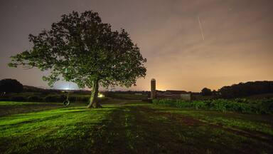 Vineyard Night Scene, Sweetwater TN