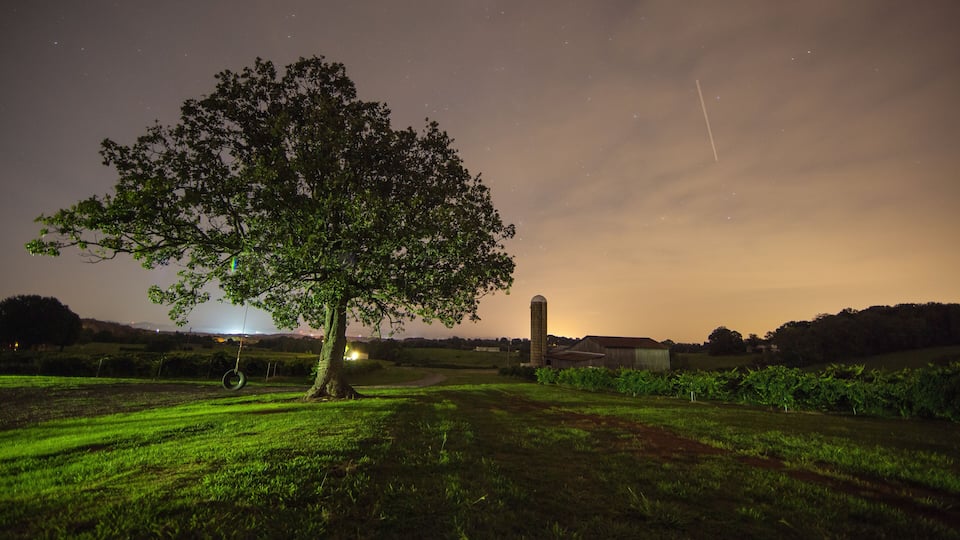 Vineyard Night Scene, Sweetwater TN