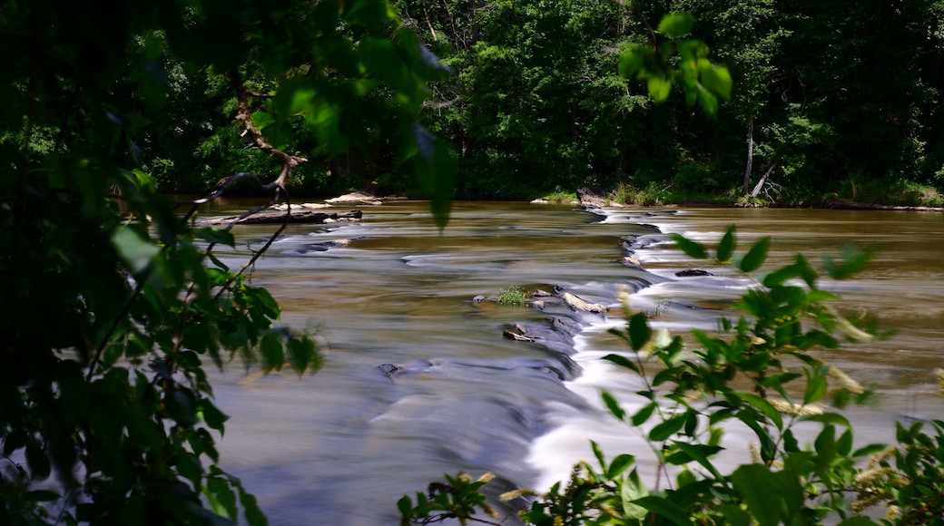Sweetwater Creek Tumbles Gently Over a Span of Stones.