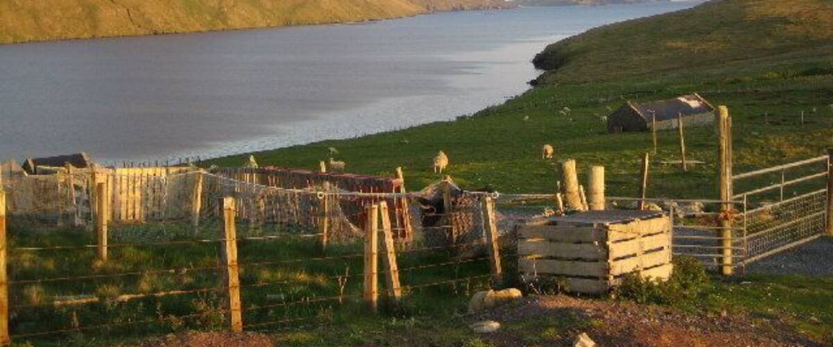 A coastal landscape with a fenced area, a small building, and a hill in the background.