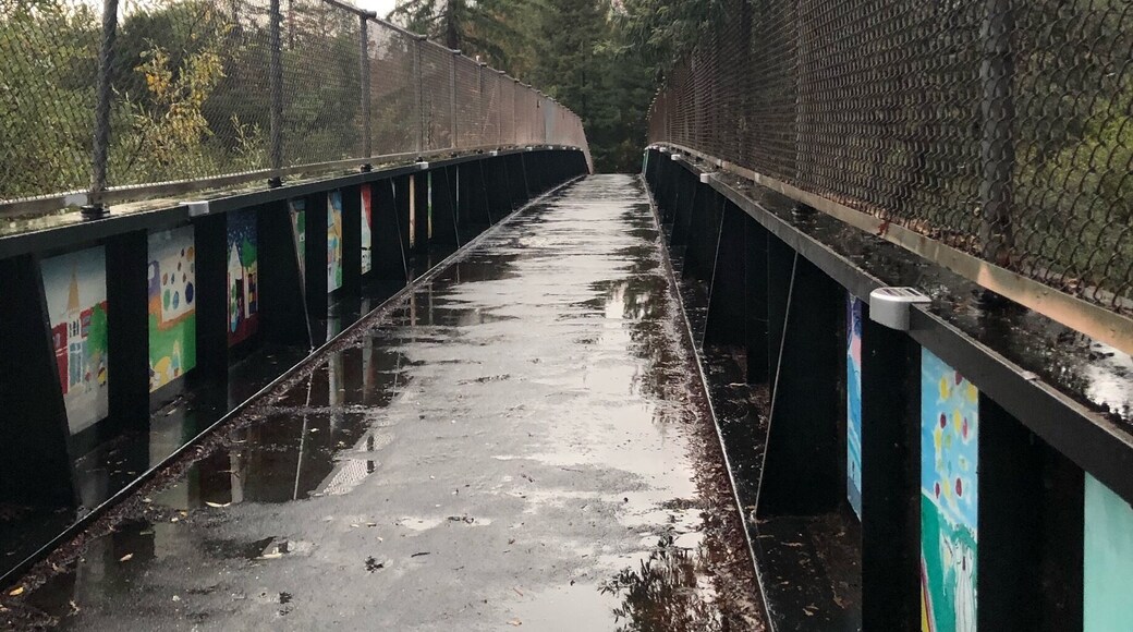 Fun bridge walking along the beautiful LG creek trail tucked away just behind Downtown LG