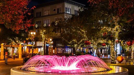 Colorful Fountain at Night in Santana Row San Jose