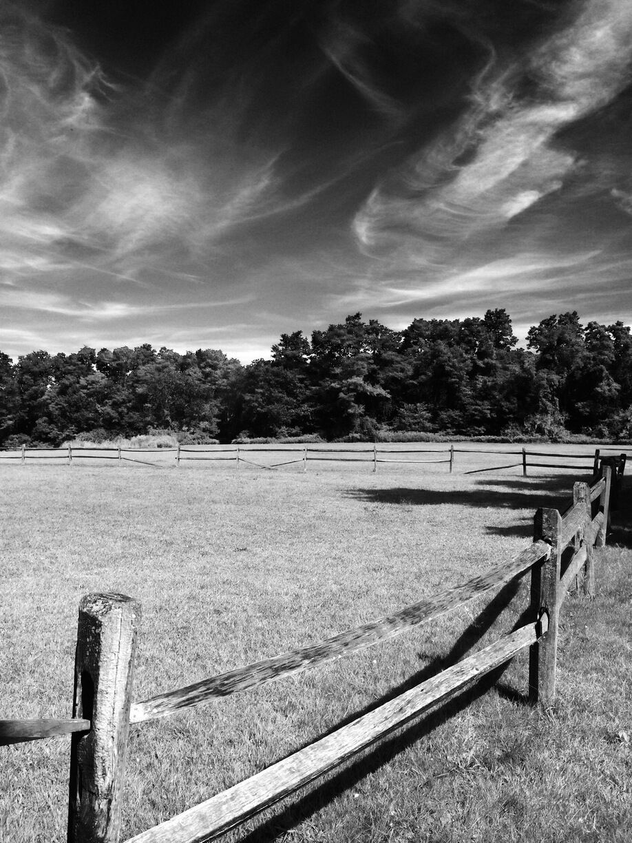 Beautiful landscape in muttown preserve.
#beautifulLongisland