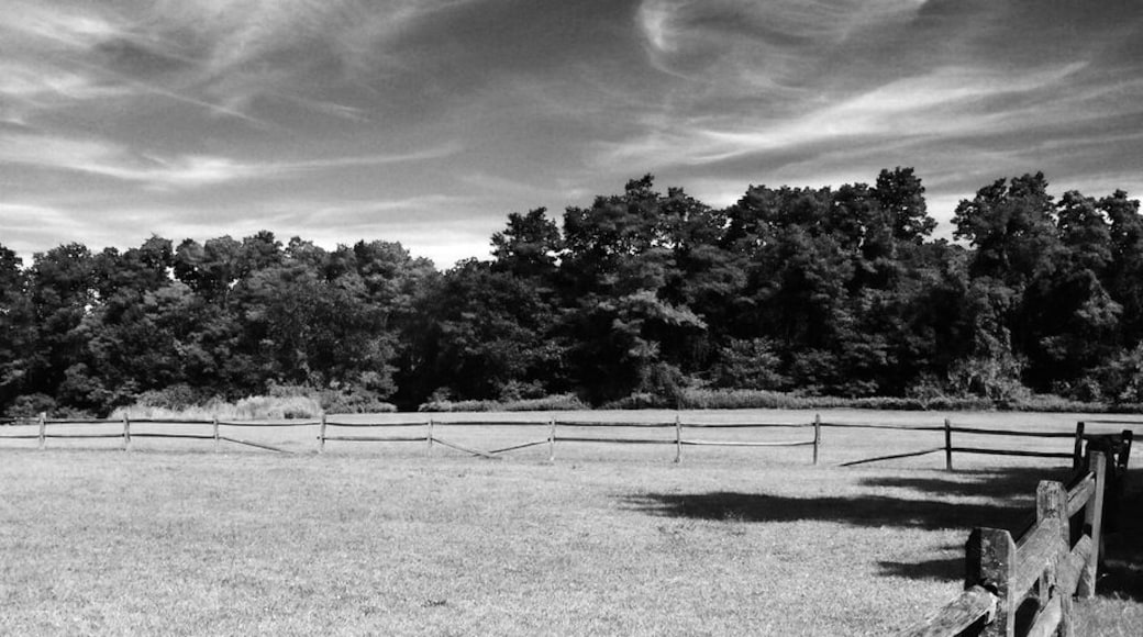 Beautiful landscape in muttown preserve.
#beautifulLongisland
