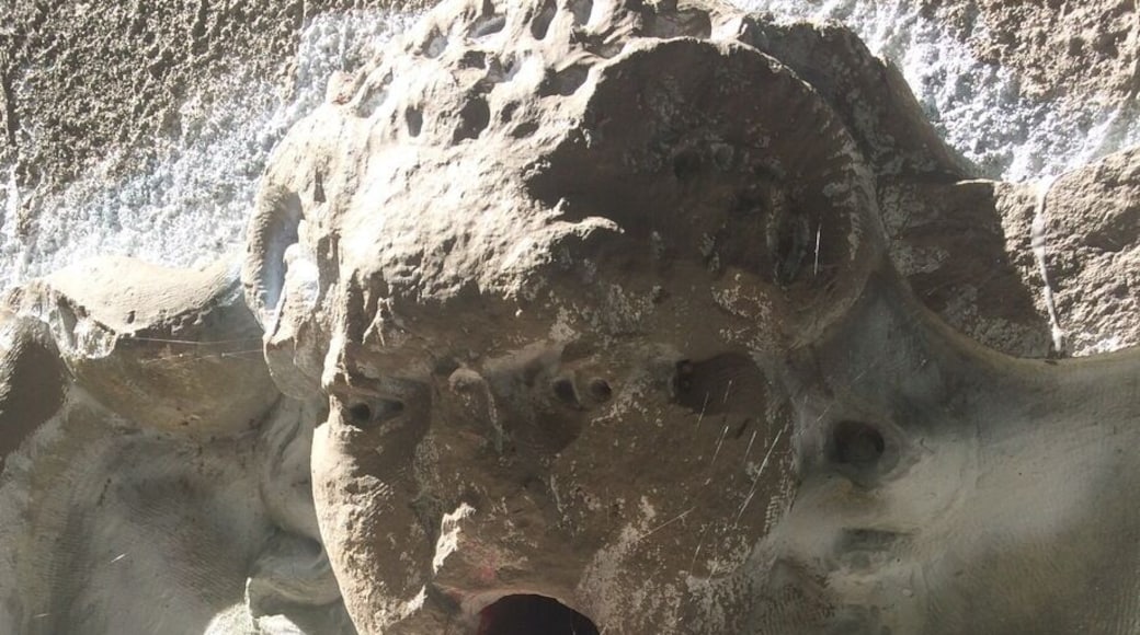 20-acre parcel donated by Mrs. Paul Hammond contains evidence of the pre-Revolutionary Duryea Farm. The ruins of the mansion once owned by King Zog of Albania can still be viewed in the wooded area just north of Muttontown Road.
#creepyLongisland
#ruins#haunted
#muttontown
#abandoned