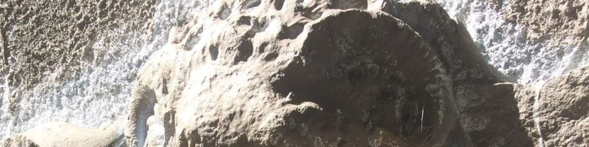 20-acre parcel donated by Mrs. Paul Hammond contains evidence of the pre-Revolutionary Duryea Farm. The ruins of the mansion once owned by King Zog of Albania can still be viewed in the wooded area just north of Muttontown Road.
#creepyLongisland
#ruins#haunted
#muttontown
#abandoned