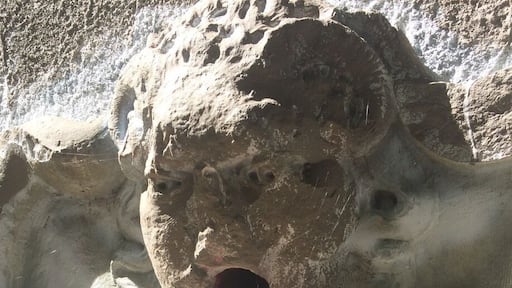 20-acre parcel donated by Mrs. Paul Hammond contains evidence of the pre-Revolutionary Duryea Farm. The ruins of the mansion once owned by King Zog of Albania can still be viewed in the wooded area just north of Muttontown Road.
#creepyLongisland
#ruins#haunted
#muttontown
#abandoned