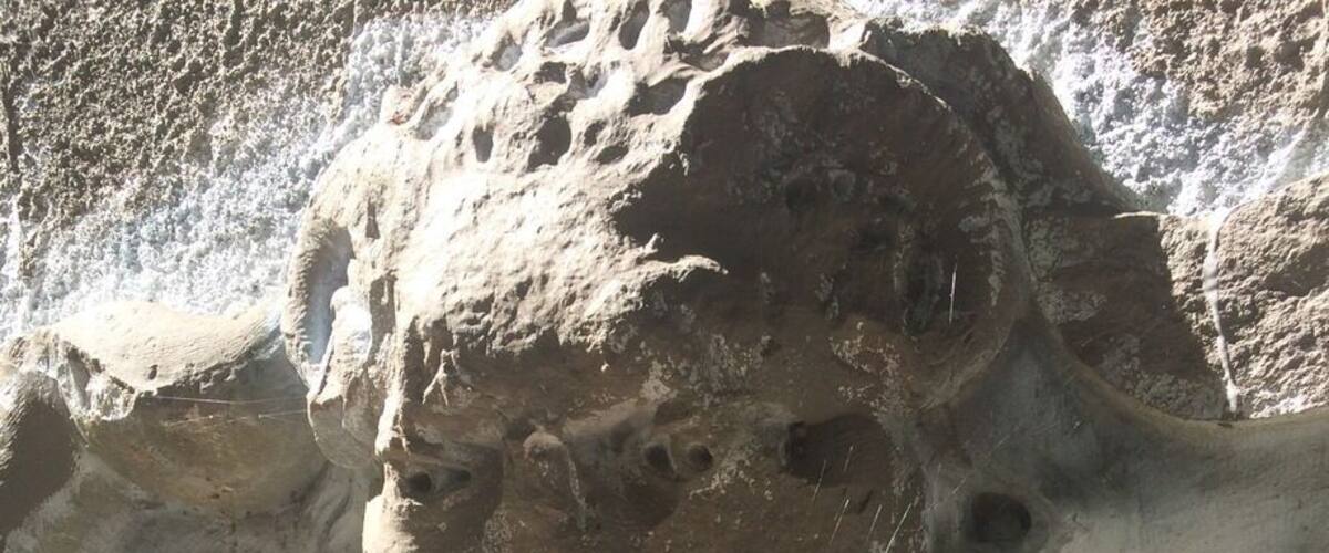 20-acre parcel donated by Mrs. Paul Hammond contains evidence of the pre-Revolutionary Duryea Farm. The ruins of the mansion once owned by King Zog of Albania can still be viewed in the wooded area just north of Muttontown Road.
#creepyLongisland
#ruins#haunted
#muttontown
#abandoned