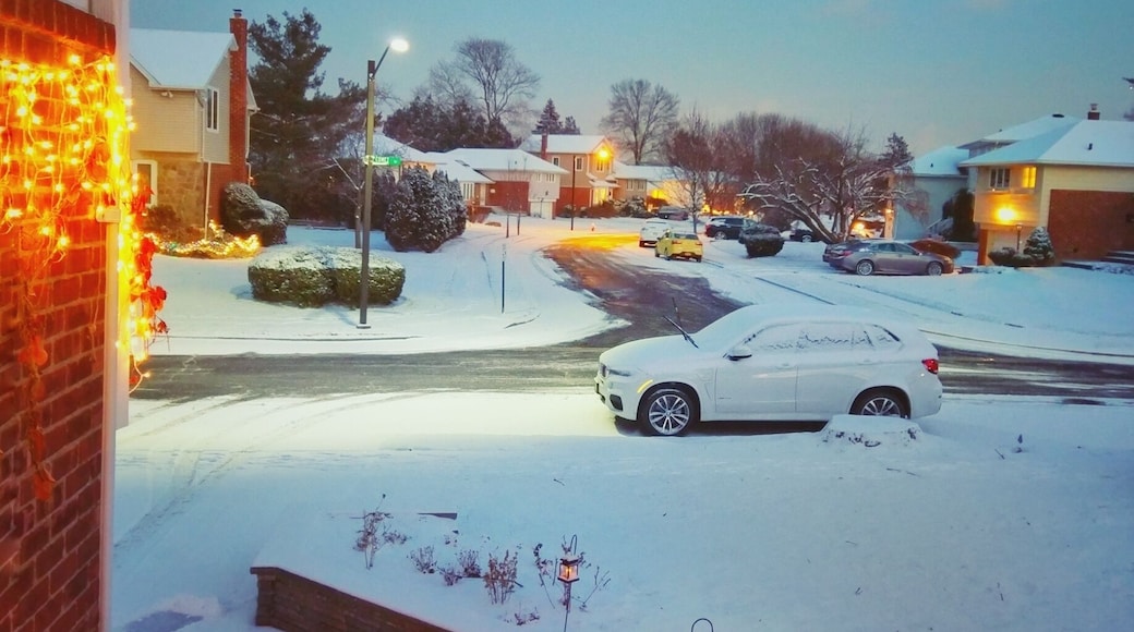 Snow makes mundane things look like a fantasy land