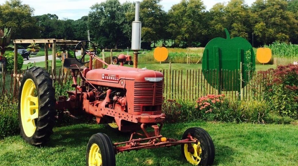 Gettin the farm ready for the fall festivities!!
#fall2014#tractors